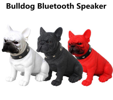 Cassa Speaker Bluetooth Bulldog CH-M208