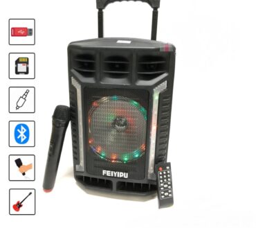 Feiyipu Cassa Acustica Amplificata Trolley Karaoke con Microfono 2000 Watt