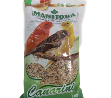 Miscuglio Canarini 1 kg Mangime con Semi e Biscotto Manitoba