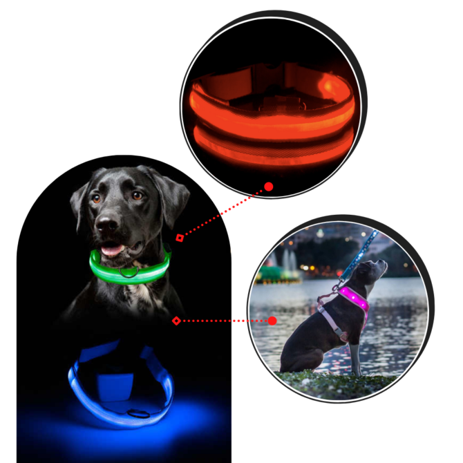 Collare Regolabile per animali domestici Con LED ricaricabili con USB Arancione