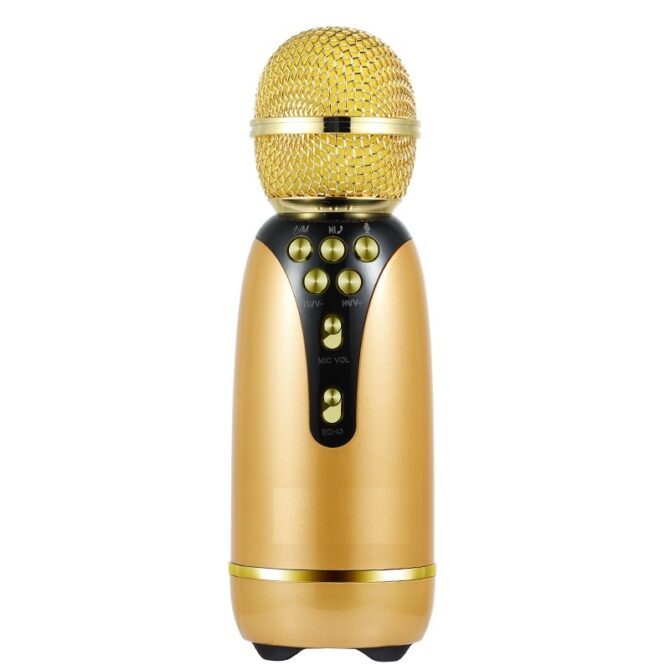 Microfono wireless karaoke con altoparlante cassa integrata bluetooth portatile